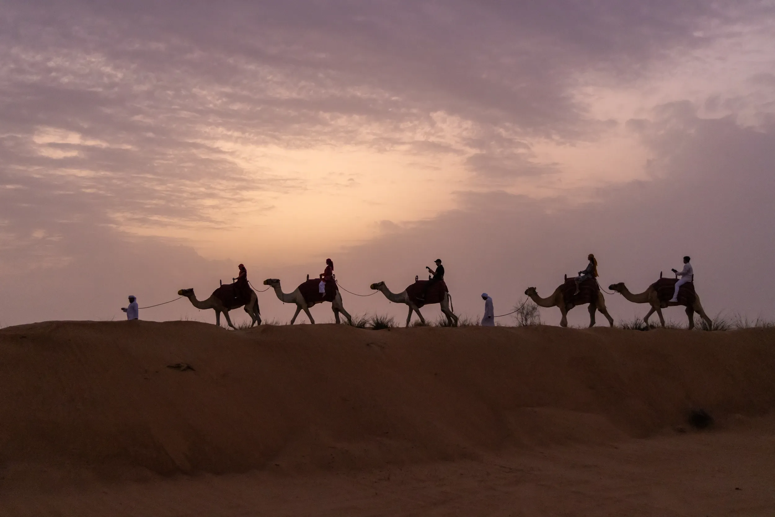 A line of camels and riders silhouetted on a dune at dusk.