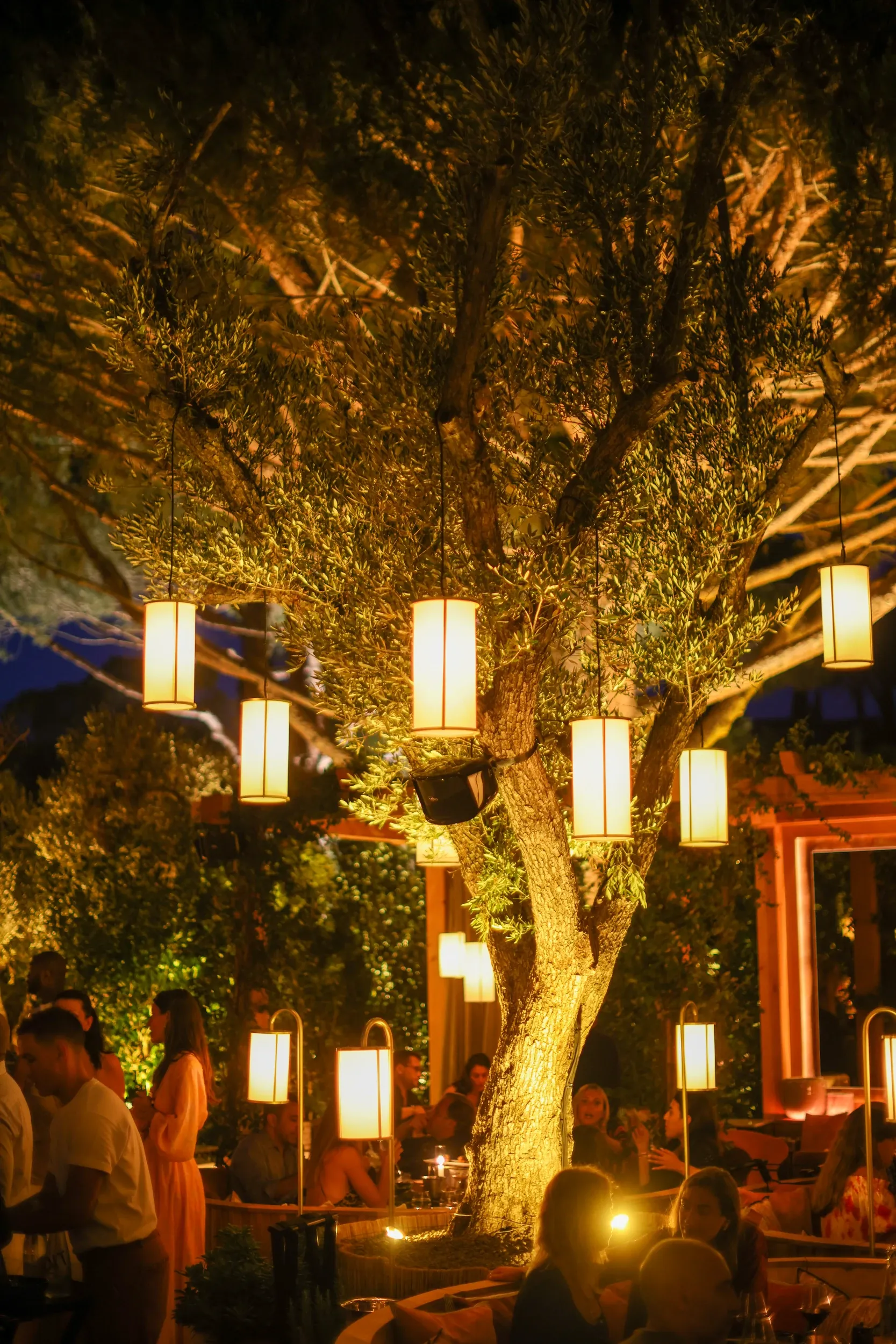 Warm lanterns hanging around a large tree above an outdoor dining area at night.