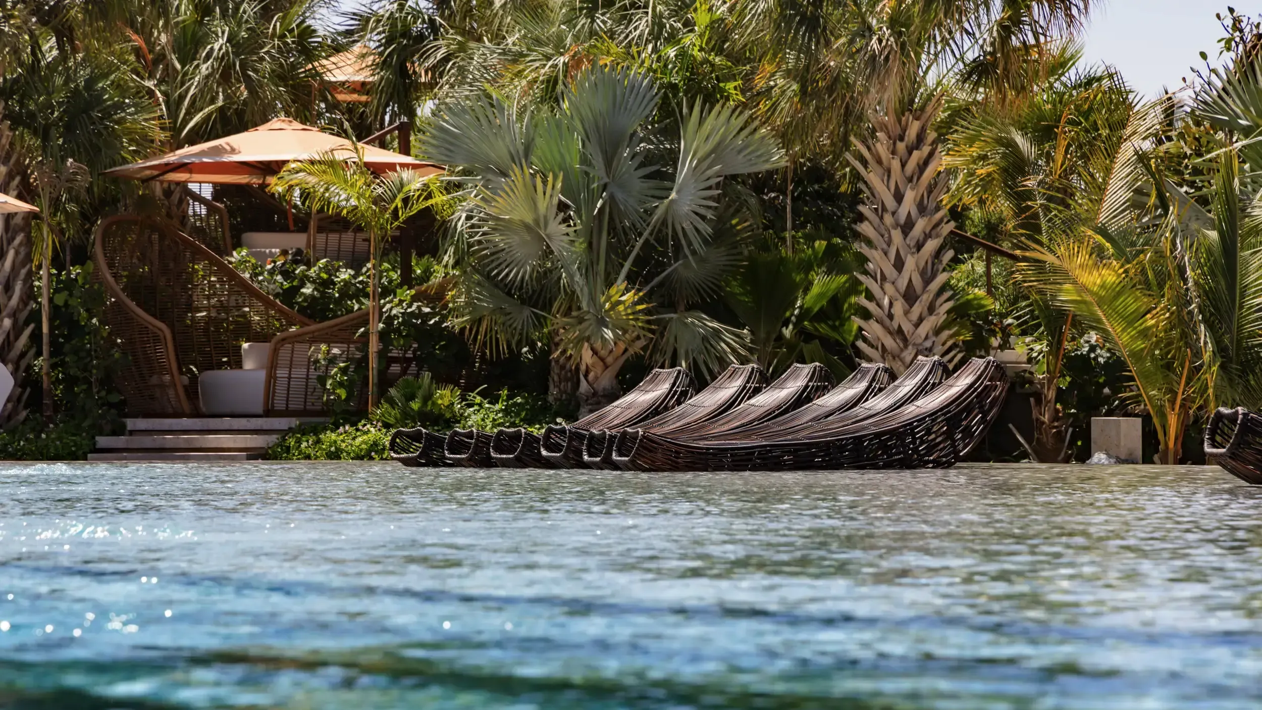 Wide hero of a sparkling tropical pool edged with wave loungers and dense palms — strong website banner frame