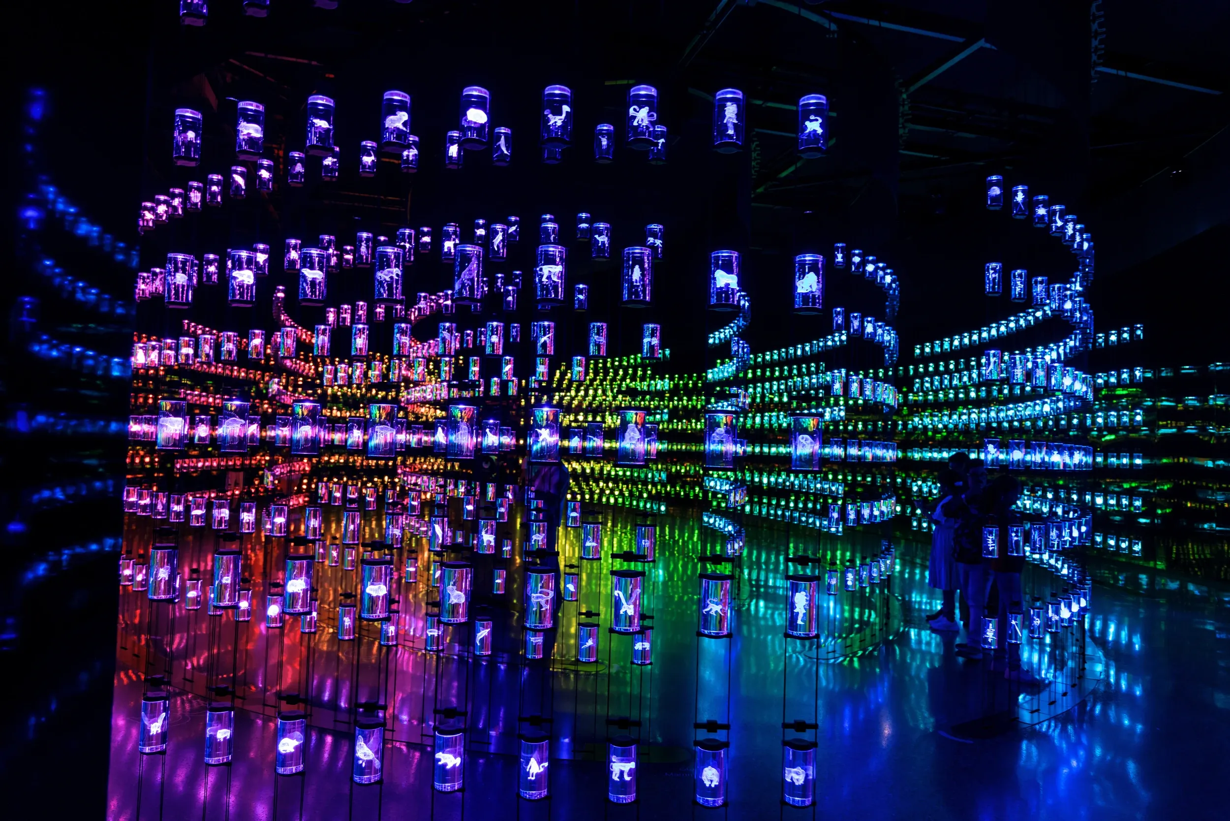 An immersive installation of suspended glowing cylinders reflected in a dark mirrored room.